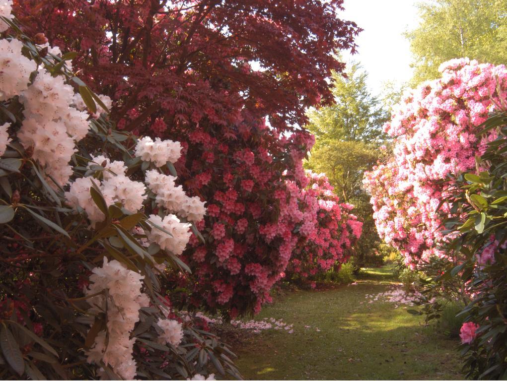 Muncaster Castle Coachman'S Quarters Bed & Breakfast เรเวนกลาส ภายนอก รูปภาพ